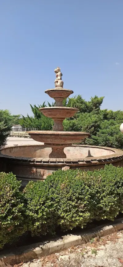 Рока България