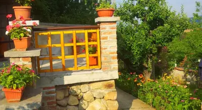 Къща за гости Каза Роза - Swiss Style Chalet Casa Rosa Guest House