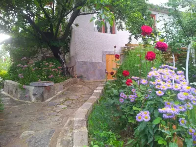 Къща за гости Каза Роза - Swiss Style Chalet Casa Rosa Guest House