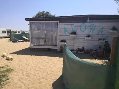 Каравани Aloha