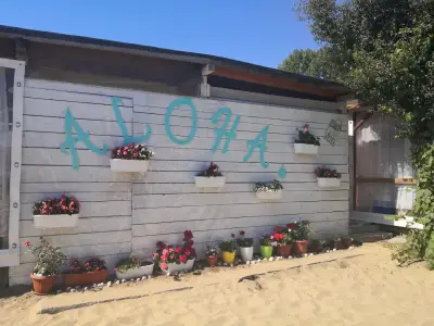 Каравани Aloha