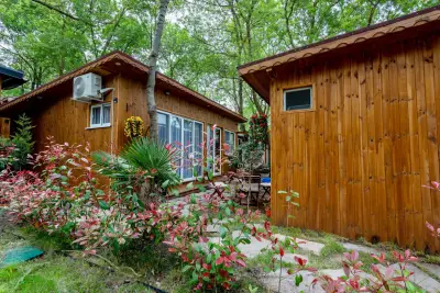 Каравани Арапя Luxory Apart 108