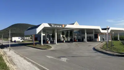 VIVAN 8