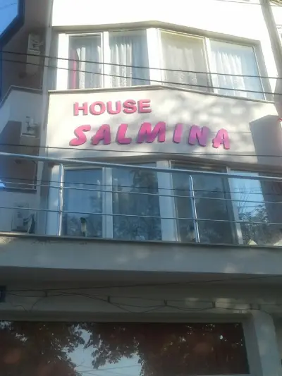 Къща Салмина