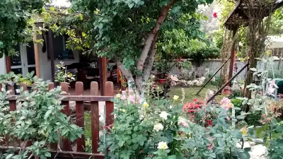 Къщата на художника