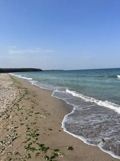 снек бар РАПАНА