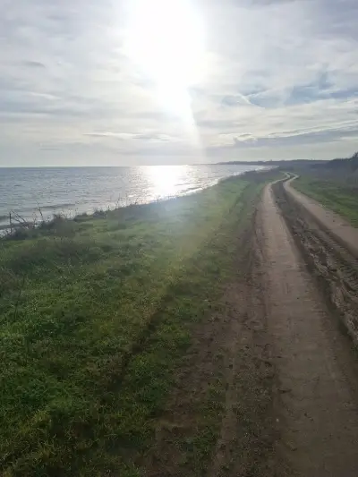 снек бар РАПАНА