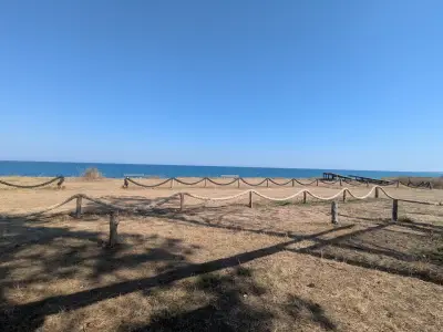 снек бар РАПАНА