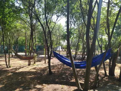 Къмпинг Нарва, Крапец (Camping Narva, Krapets)