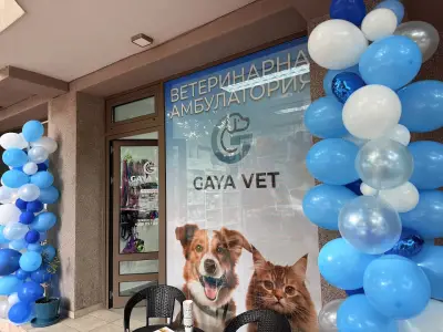 Ветеринарна амбулатория ГАЯ ВЕТ/ GAYA VET Veterinary practice