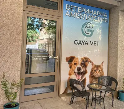 Ветеринарна амбулатория ГАЯ ВЕТ/ GAYA VET Veterinary practice