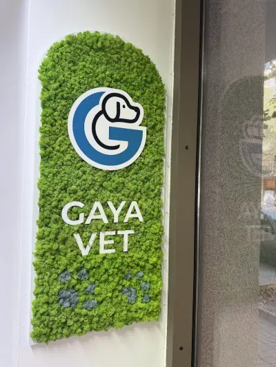Ветеринарна амбулатория ГАЯ ВЕТ/ GAYA VET Veterinary practice