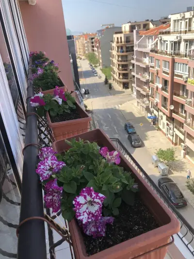 Arizona apartment