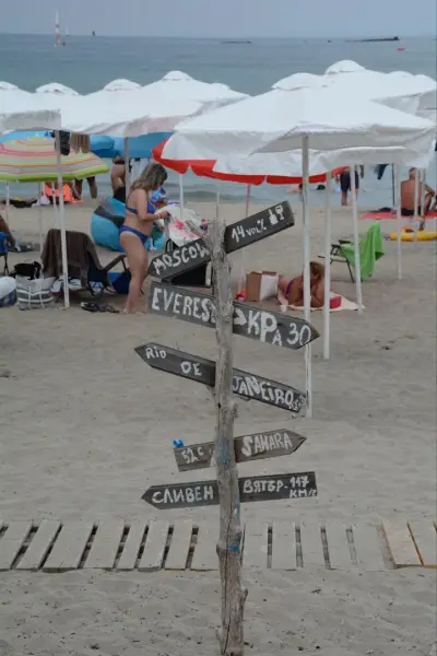 Beach Bar Wave