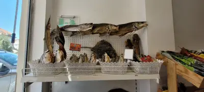 Рыбачка Соня