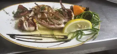 Dolphin Coast Restaurant