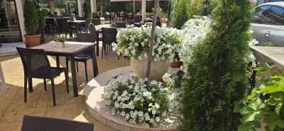 Dolphin Coast Restaurant