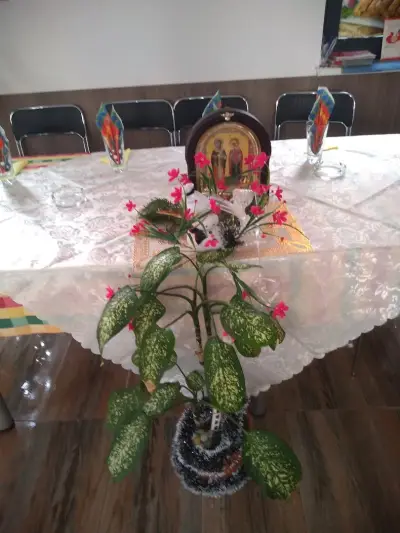 Aparthotel Salena