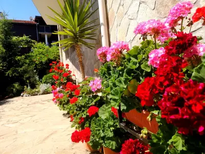 Villa Krisia Apartments