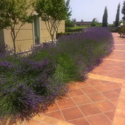 Flores Garden - Menada Apartments