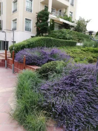 Flores Garden - Menada Apartments