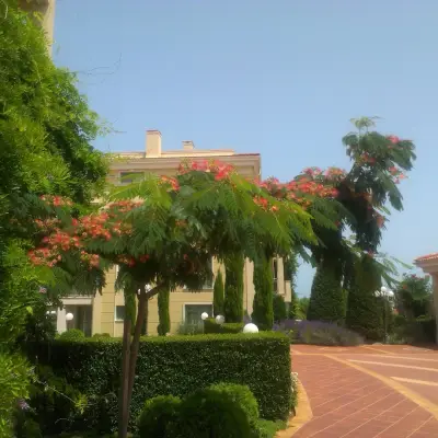 Flores Garden - Menada Apartments