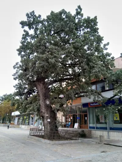 Автогара