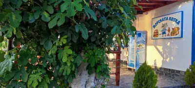 "Морската котка" Fish&Chips