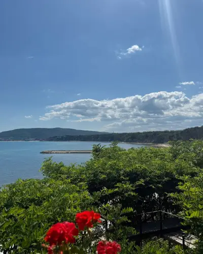 Sea Garden Escape - Byala