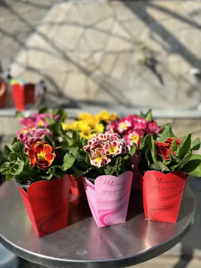 Цветарницата на Катя/ Katya's Flower Shop