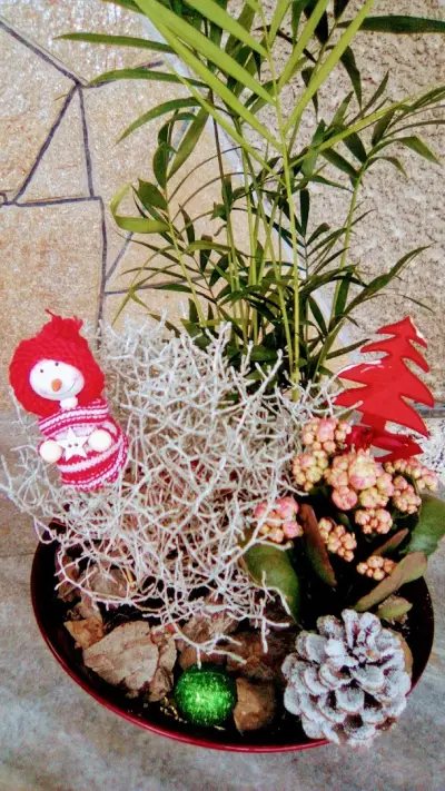 Цветарницата на Катя/ Katya's Flower Shop