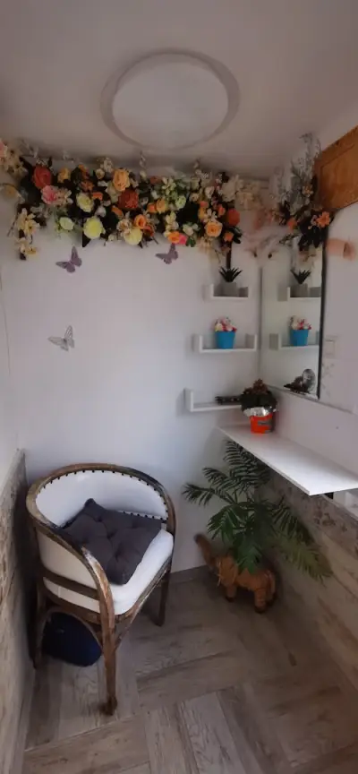 Hairstyle studio