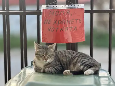 Ветеринарен център "Андрееви вет"