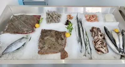 Seafood Krusty Krab / Риба и Морска храна Нерей