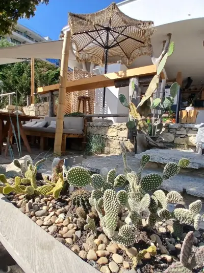 Cactus Beach Bar & Bites