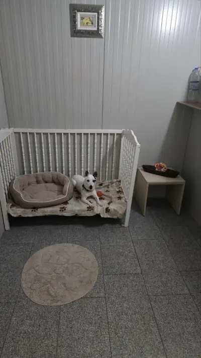 Хотел за Домашни Любимци Варна