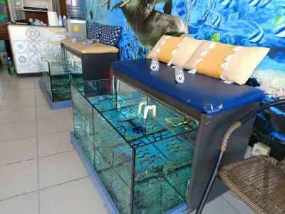 Dr. Fish