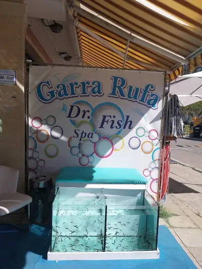 Dr. Fish