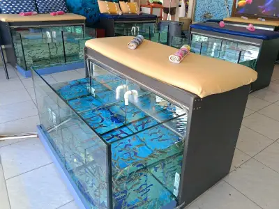 Dr. Fish