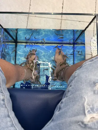 Dr. Fish