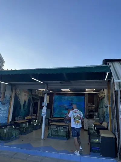 Dr. Fish