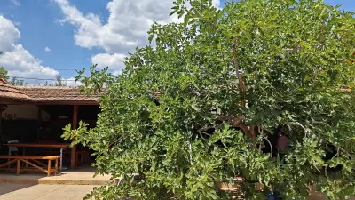 Baba Tania home & restaurant