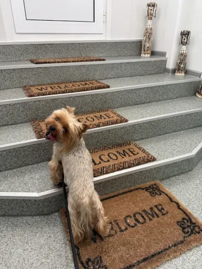 Ветеринарен център д-р Шмид/Veterinary Center Dr. Schmid