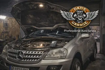 Dad's Garage АВТОСЕРВИС СТО ШИНОМОНТАЖ СОЛНЕЧНЫЙ БЕРЕГ