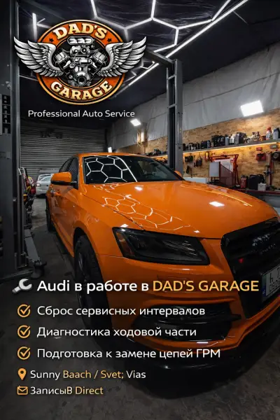 Dad's Garage АВТОСЕРВИС СТО ШИНОМОНТАЖ СОЛНЕЧНЫЙ БЕРЕГ