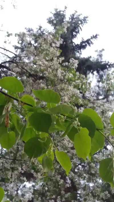 УЧЕНИЧЕСКИ ОТДИХ И СПОРТ