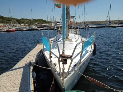 Family sailing boat trips
