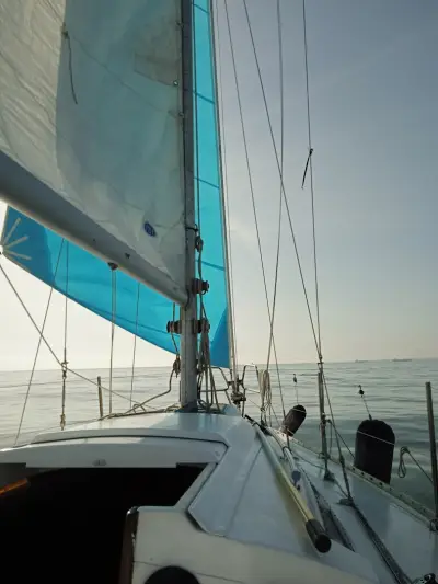 Family sailing boat trips