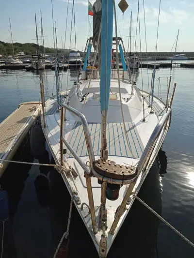 Family sailing boat trips