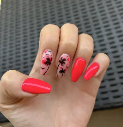 Studio Claws